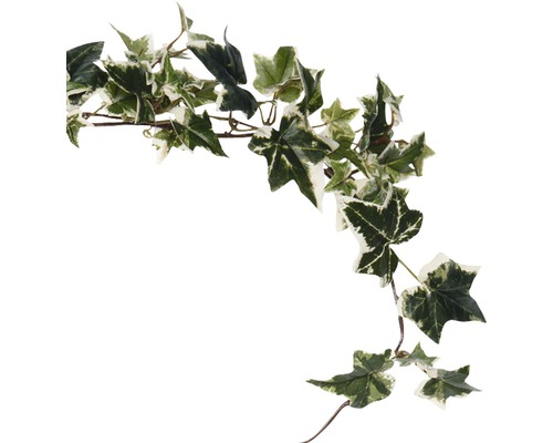 Kunstplantenkrans klimop L 180 cm groen-veelkleurig