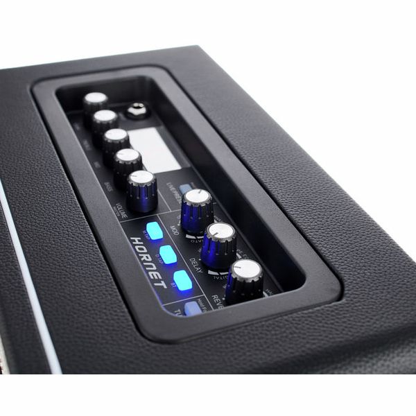 Mooer Hornet Black Modeling Combo