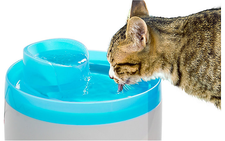 Fontaine à eau avec filtres, 2L, pour chat