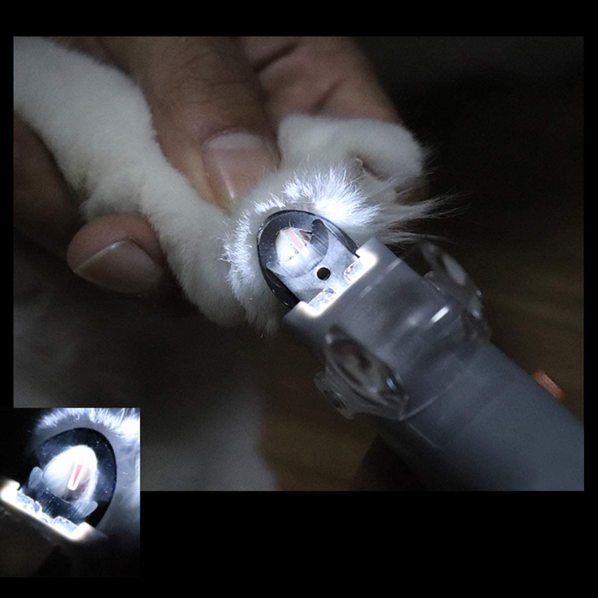 LED Beleuchteter Krallen Nagel Knipser Schere für Hunde / Katzen zur Krallenpflege