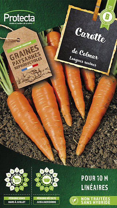 Graine de carotte de Colmar Protecta