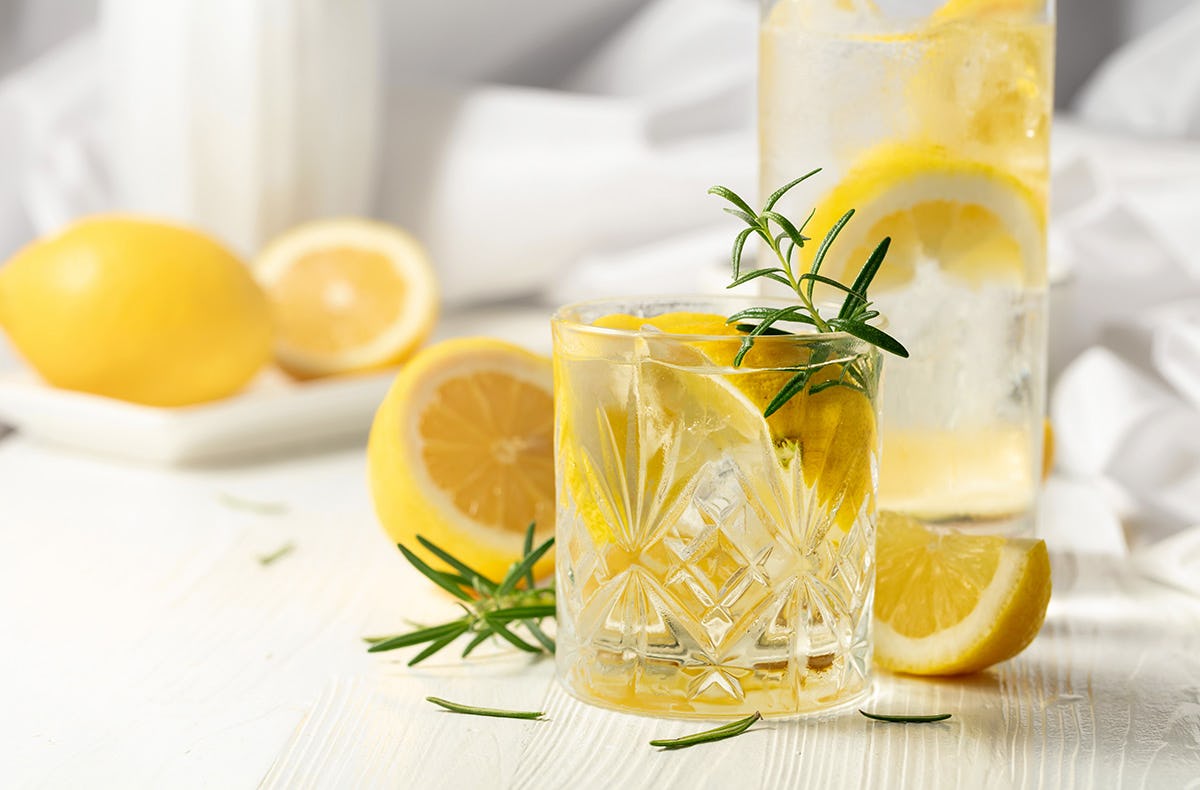 Gin Tasting Wien
