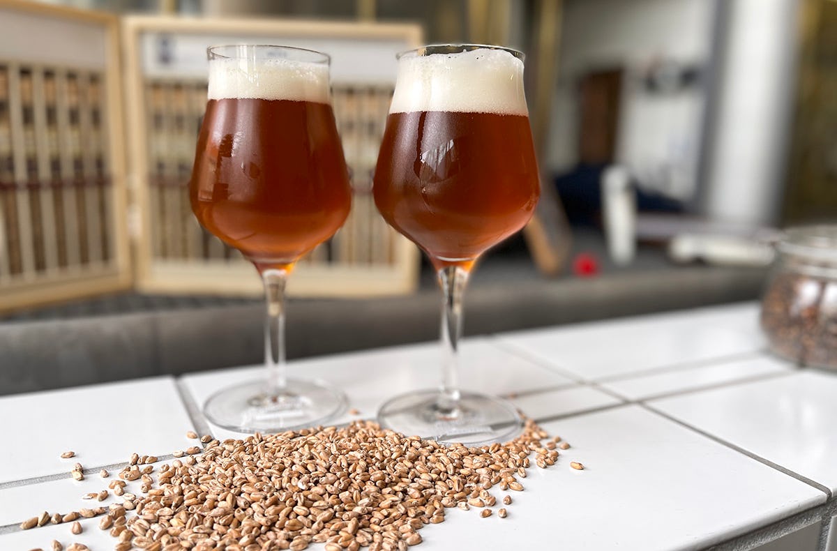 Fränkisches Bier- und Bratwursterlebnis