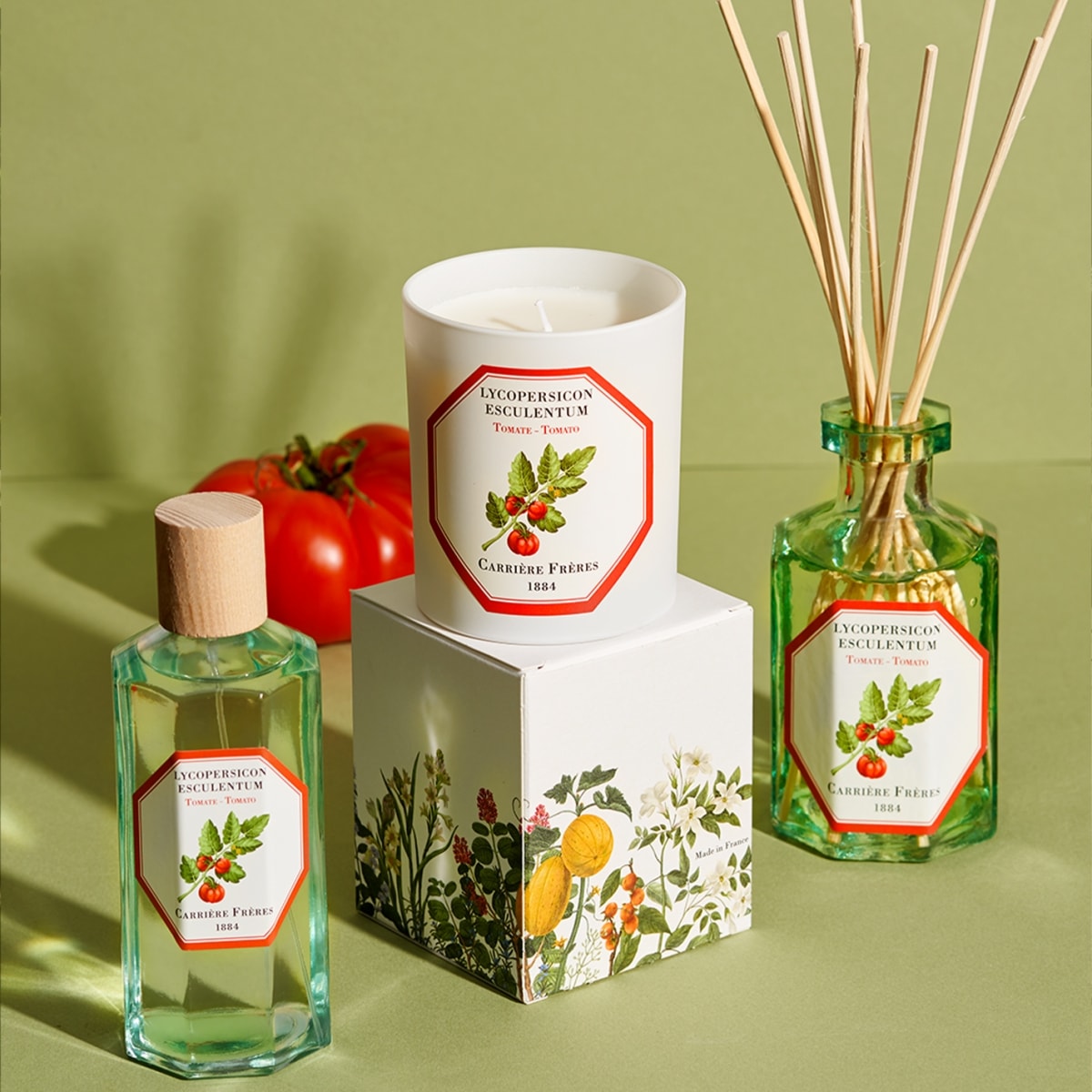 CARRIÈRE FRÈRES Tomate - Lycopersicon Esculentum Diffuseur de Parfum