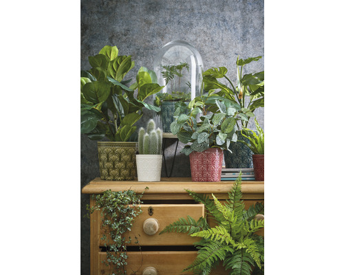 Kunstmozaïekplant Fittonia Ø 25 H 35 cm bruin
