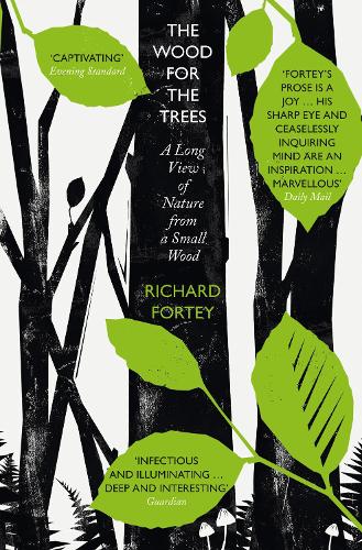 The Wood for the Trees: The Long View of Nature from a Small Wood (Paperback)
