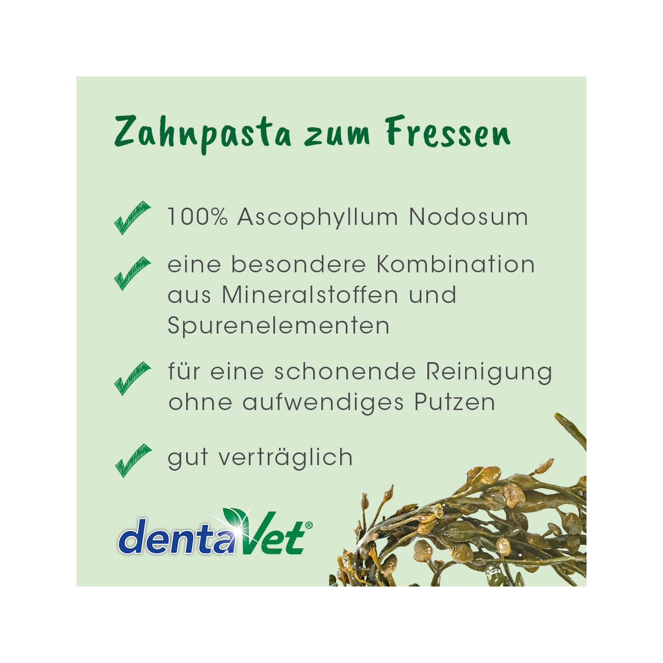 cdVet dentaVet Anti-Plaque