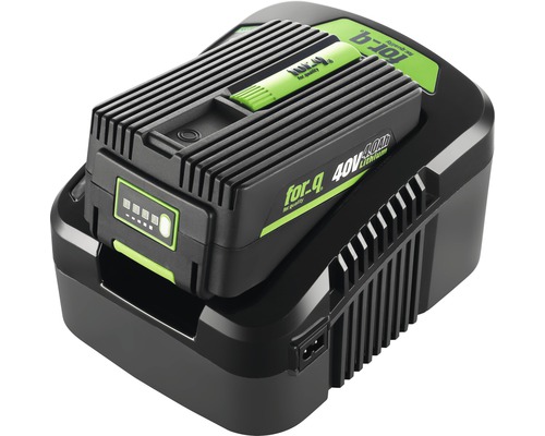 Acculader voor-q FQ-AL 40135