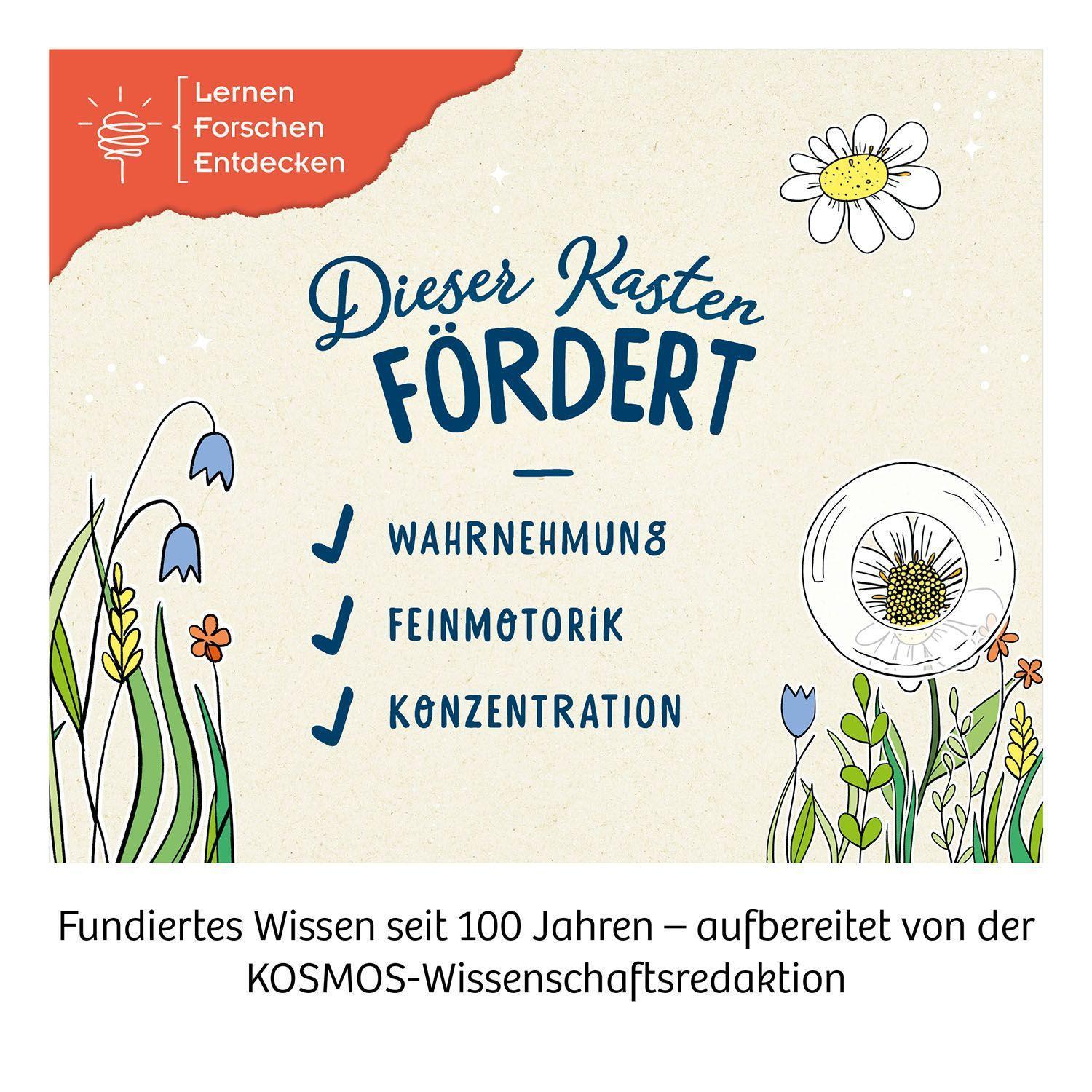 Experimentier-Set – Erstes Lernen: Lupen-Becher