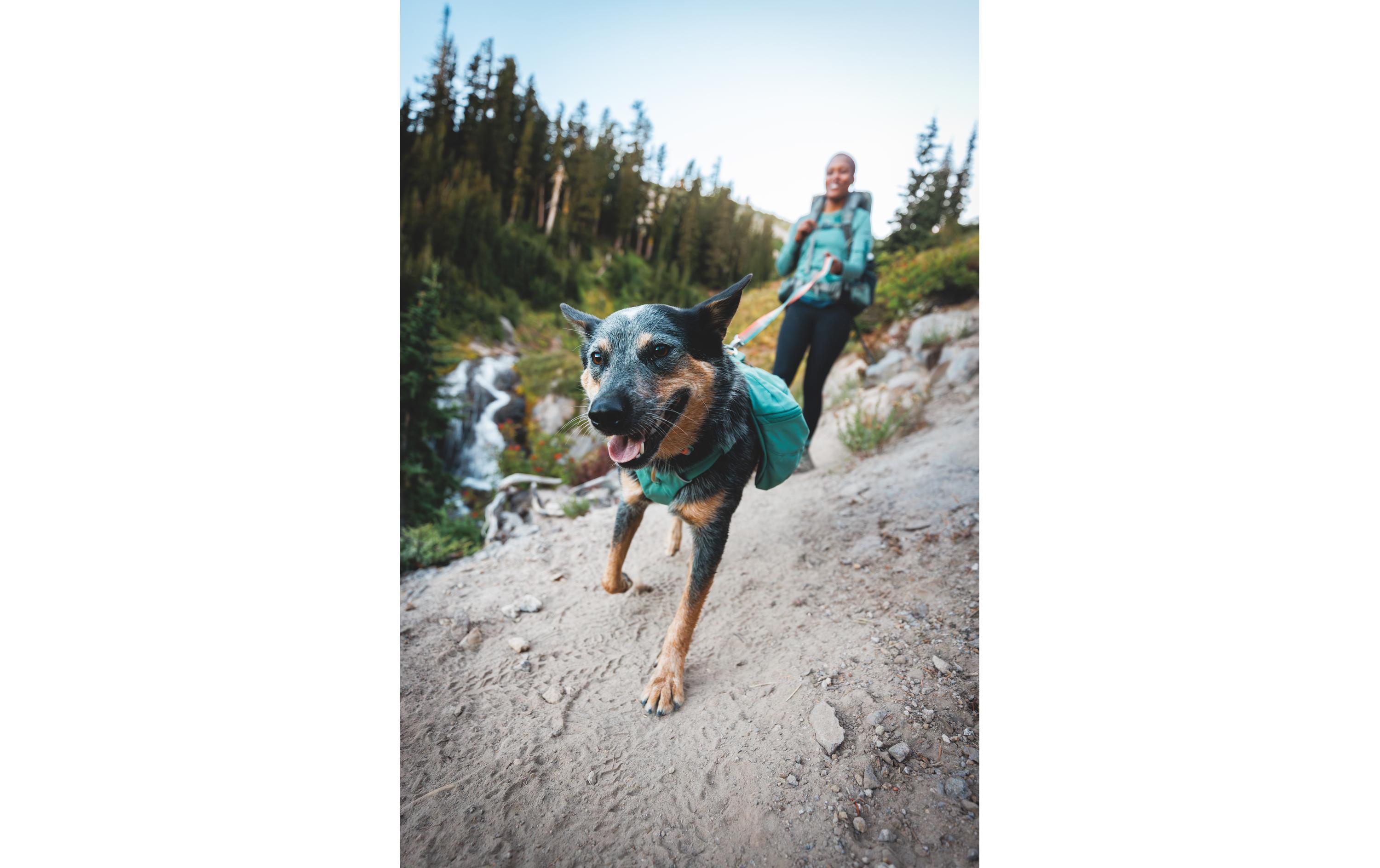 Rucksack Front Range Day Pack, Large/X-Large<br>Hunderucksack