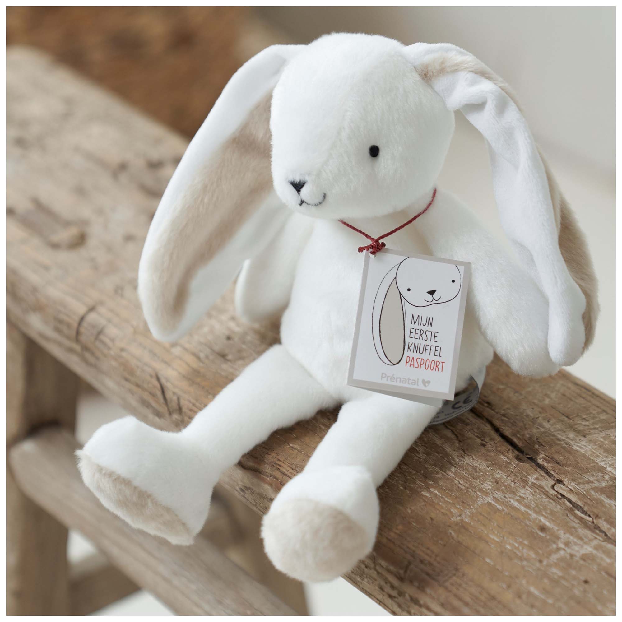 Prénatal knuffel My First Bunny wit - shop nu - Prénatal