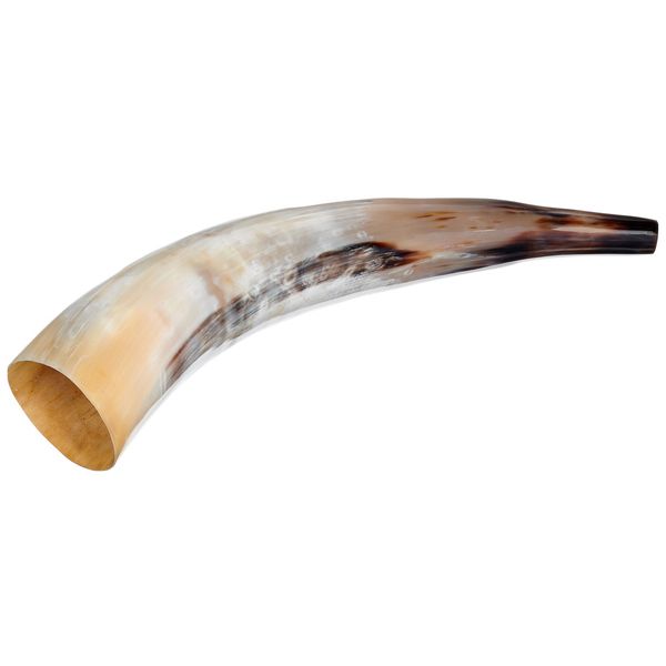 Thomann Cow Horn polished