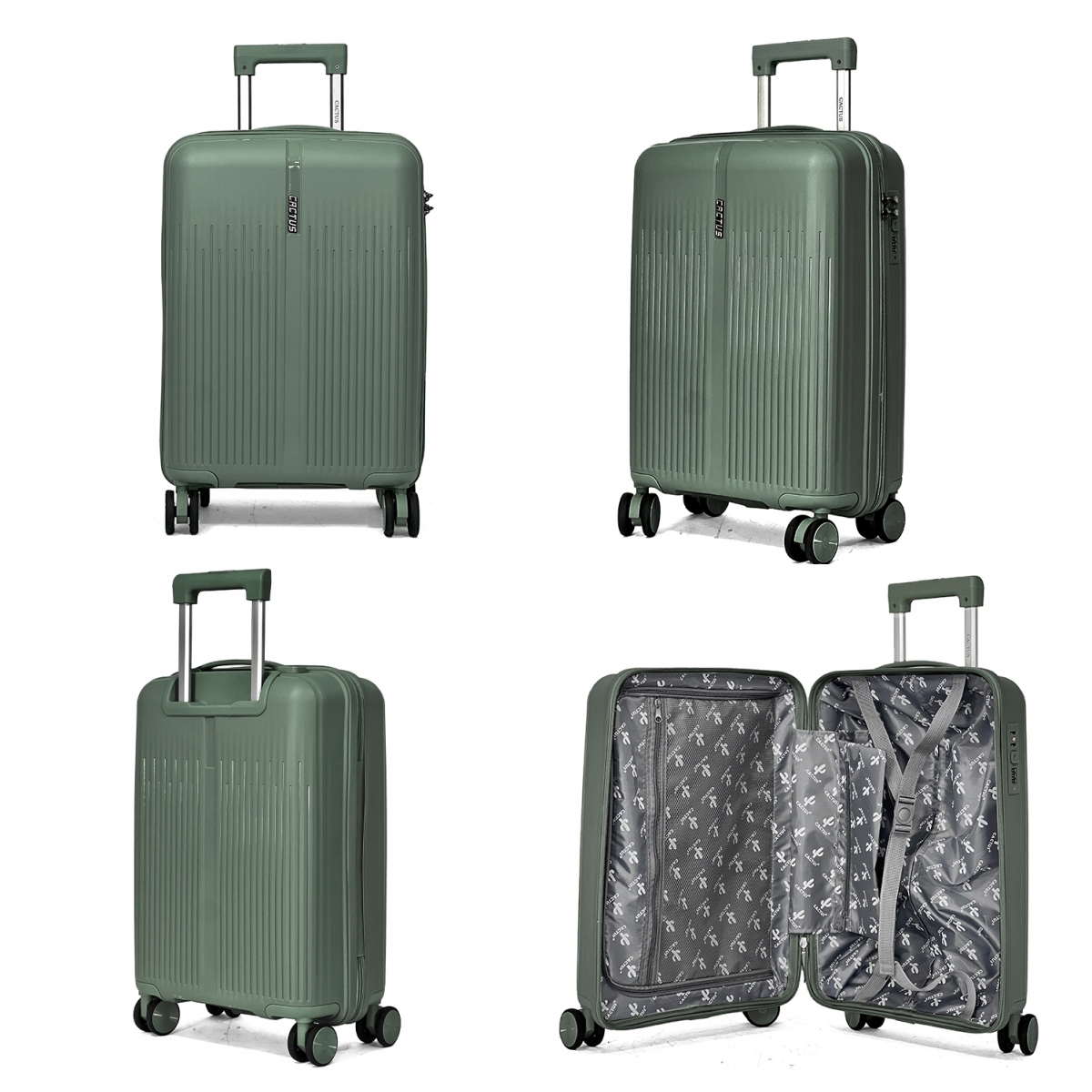 Cactus Lot de 3 valises rigides dont une valise cabine Cactus TSA PETE