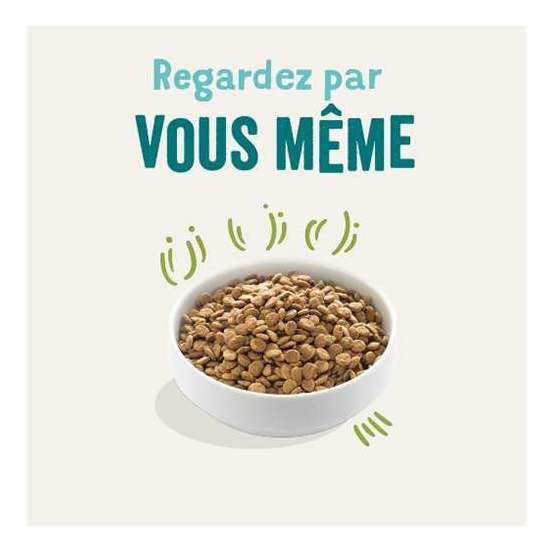 Croquettes chien adulte sans céréales à l'agneau - 2,5 kg