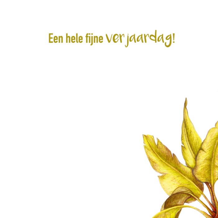Paperclip | Verjaardagskaart | Jij bent jarig