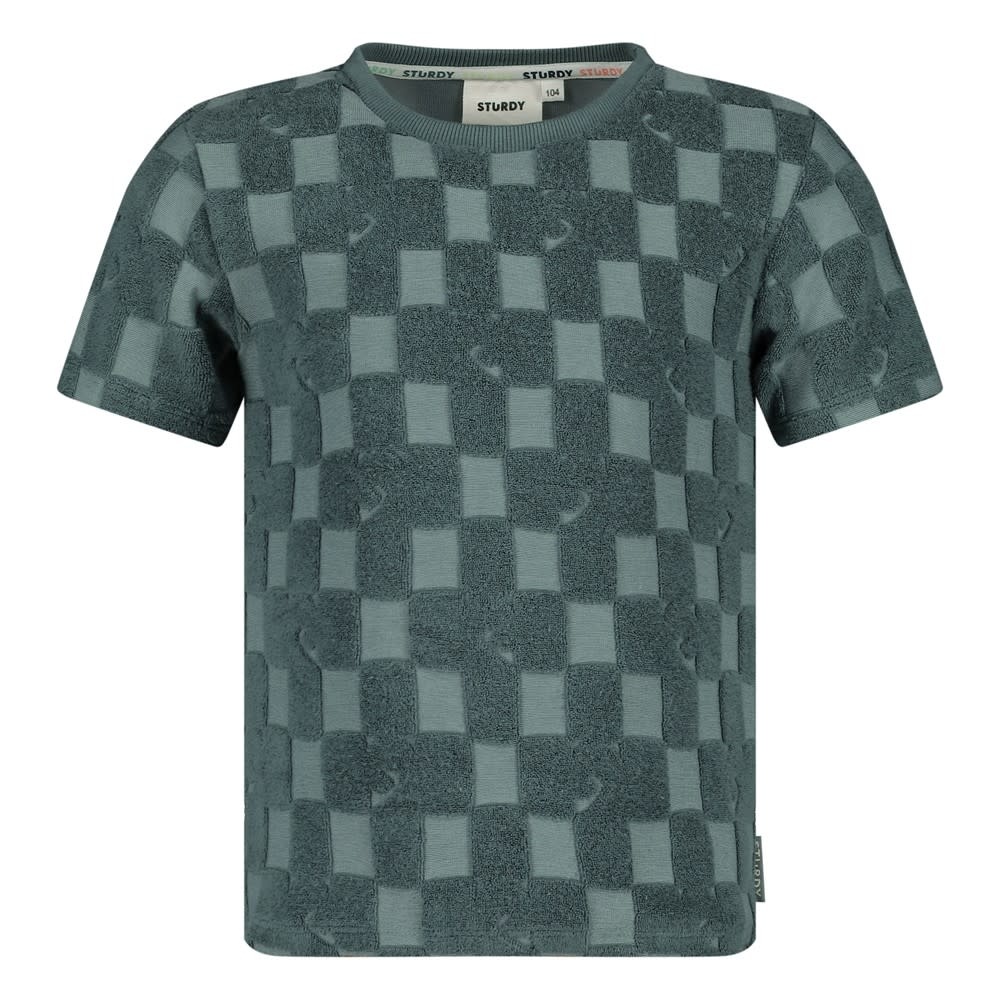 Sturdy Sturdy t-shirt ruit badstof - Lagoon Legends petrol