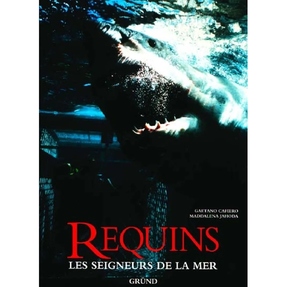 Requins : les seigneurs de la mer · Occasion