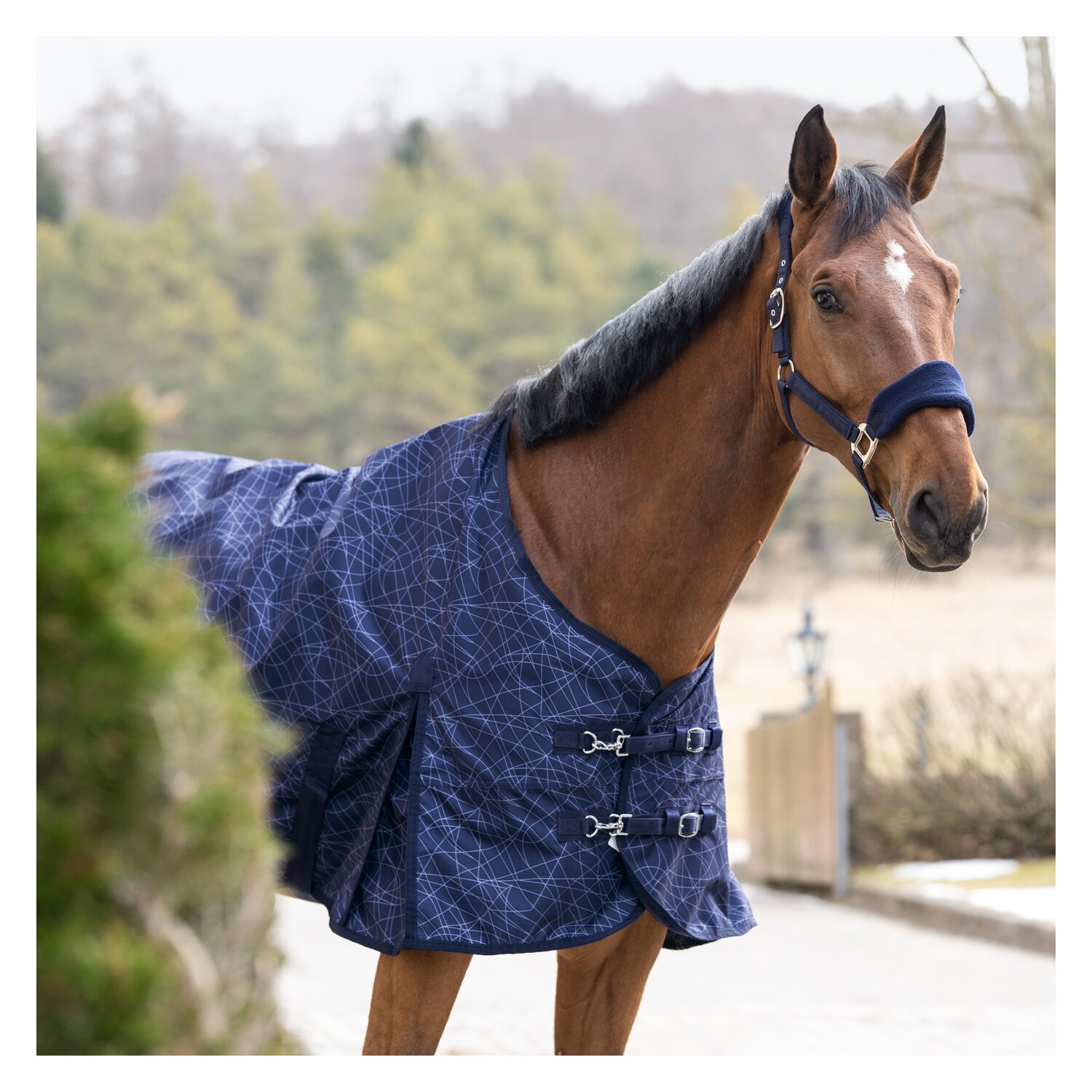 Horse-friends Regendecke Hamburg Lite Printed - blue