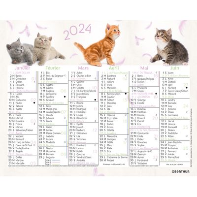 Mini calendrier illustré - 6 mois par face - 13,5 x 17,5 cm - différents modèles disponibles - Oberthur