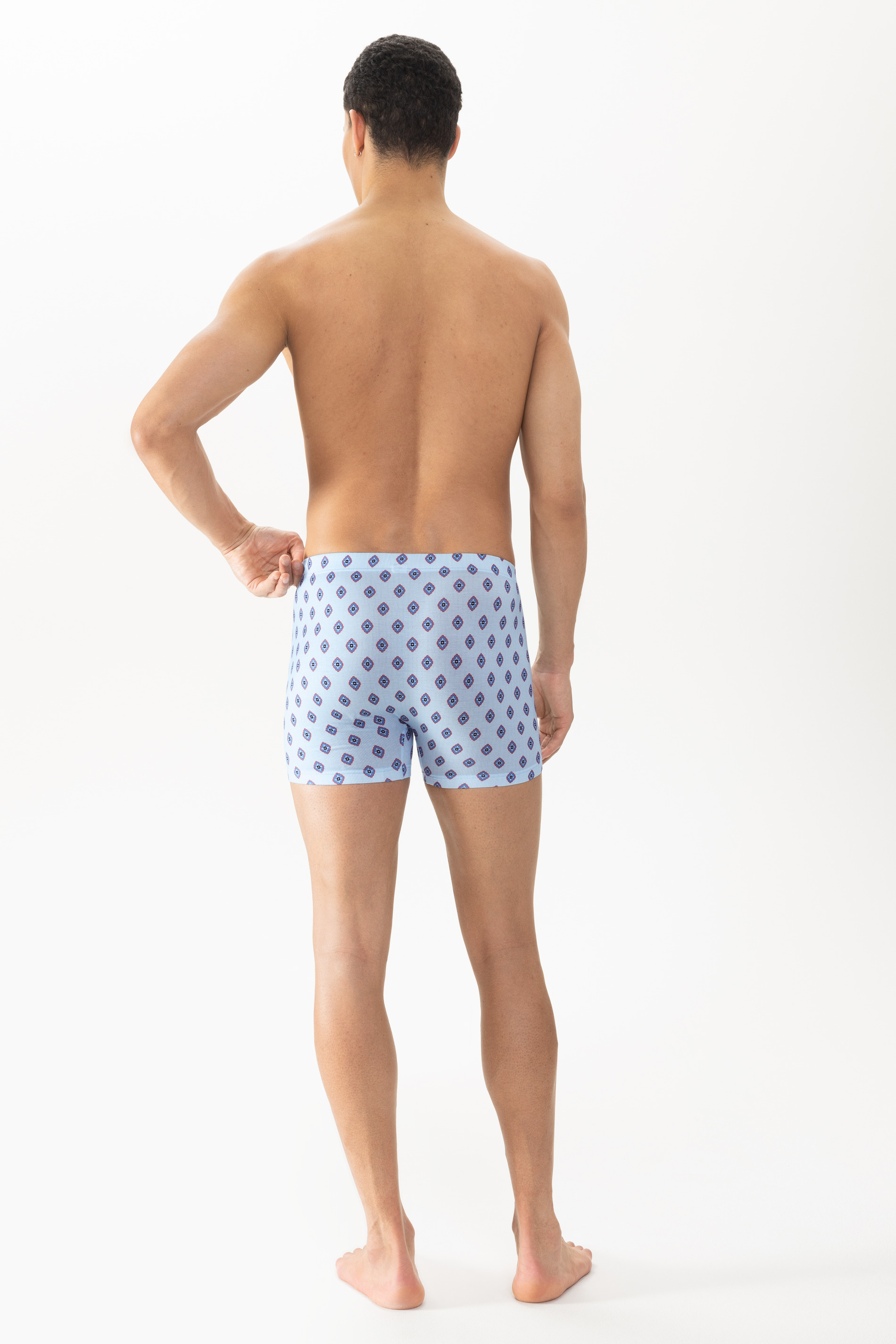 Trunk Shorty<br>Serie Stripes With Tie Pattern