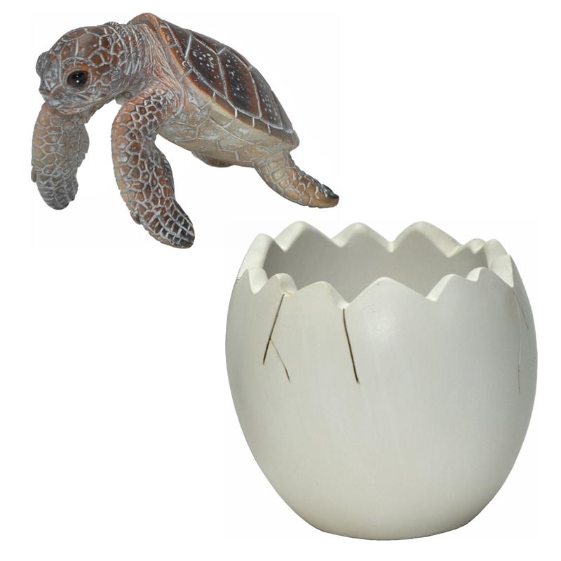 Dazikemo Stifthalter Kugelschreiberhalter Schildkröte - 8 x 8 x 9 cm