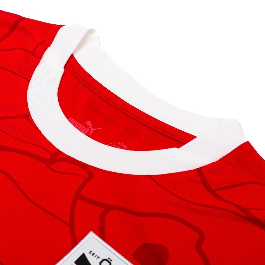Autriche Maillot Domicile 2024/25