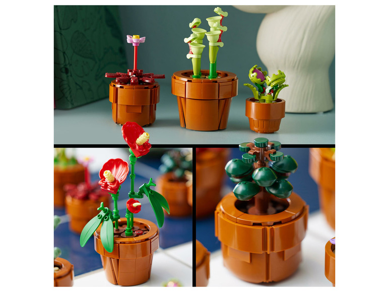 Miniplantjes - 10329