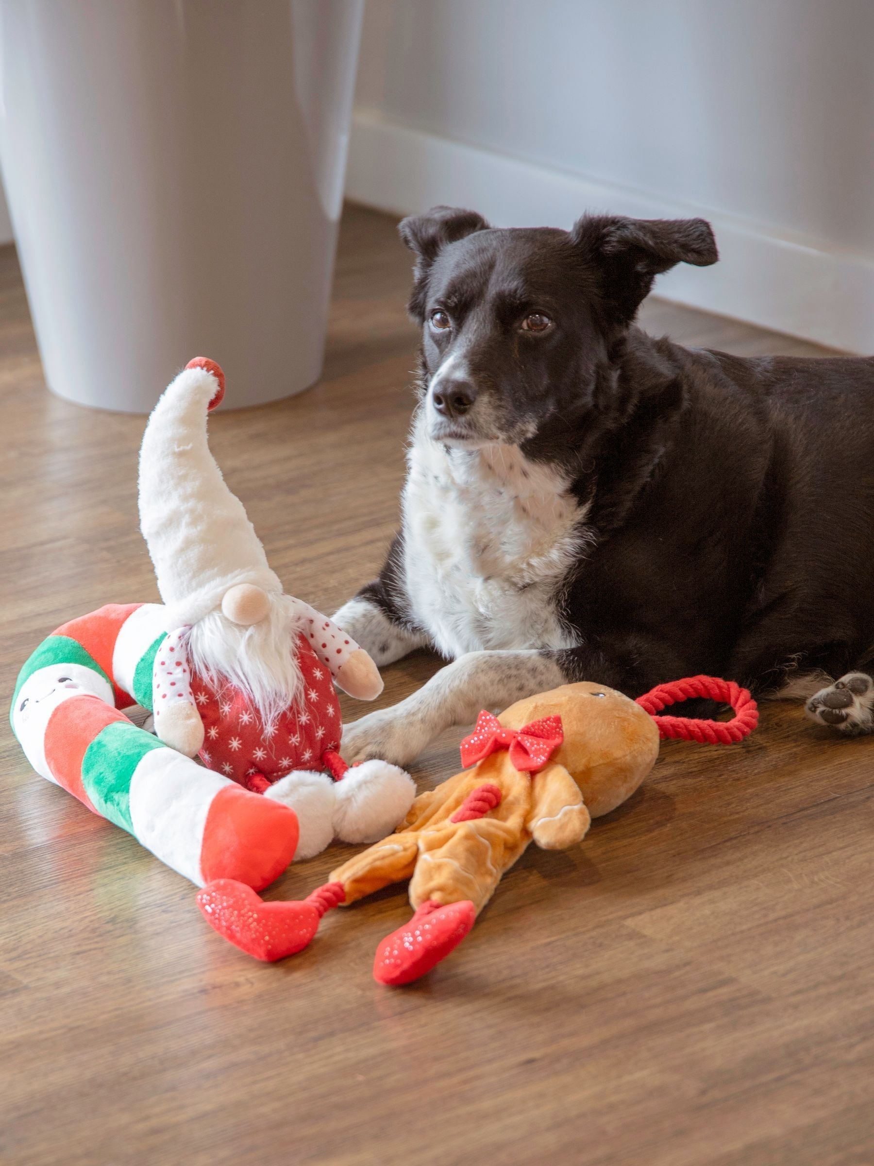 Rosewood Christmas hondenspeelgoed, set van 3 suikerstok, peperkoek kerstfiguur
