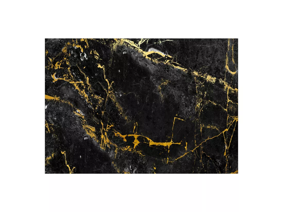 Papier peint Black Elegance - 450 x 315 cm