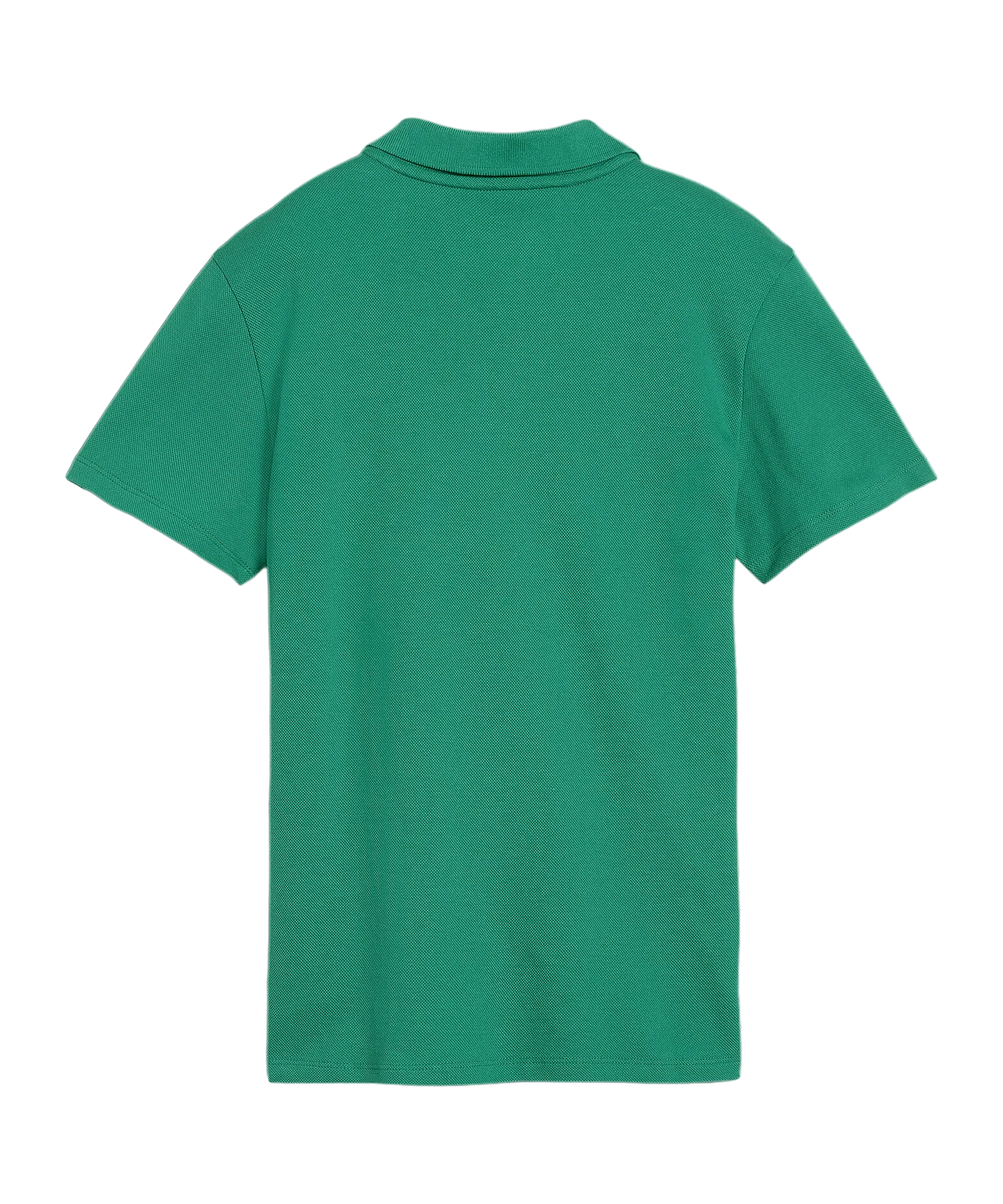 PUMA teamGOAL Casuals Poloshirt Damen Grün F05