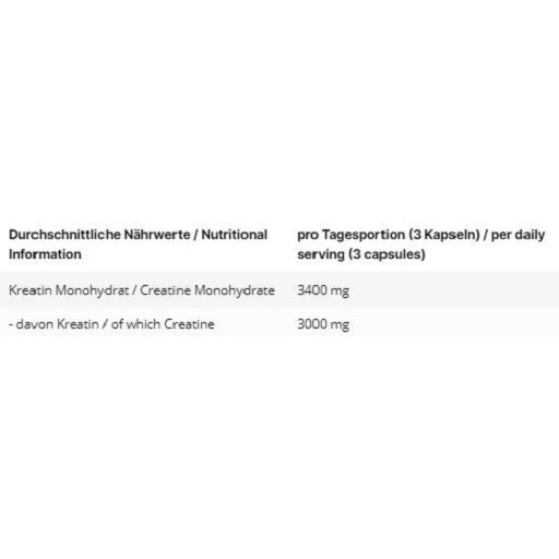 INLEAD Creatine Monohydrate
