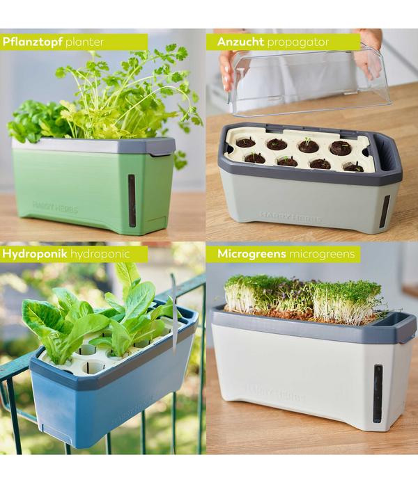 Gusta Garden Kräutertopf Harry Herbs, ca.