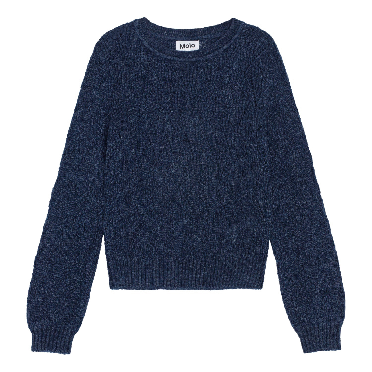 Ginger - Vibrant Blue