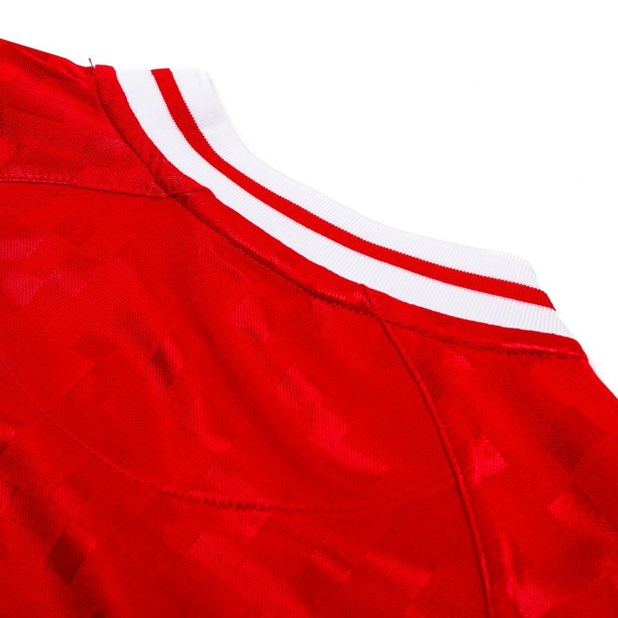 Danemark Maillot Domicile 2024/25