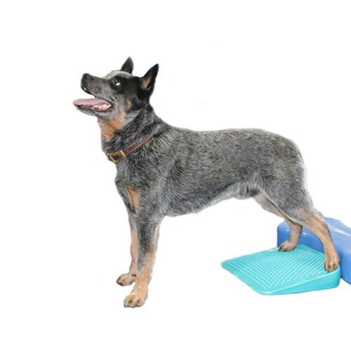FitPAWS Balance Ramp