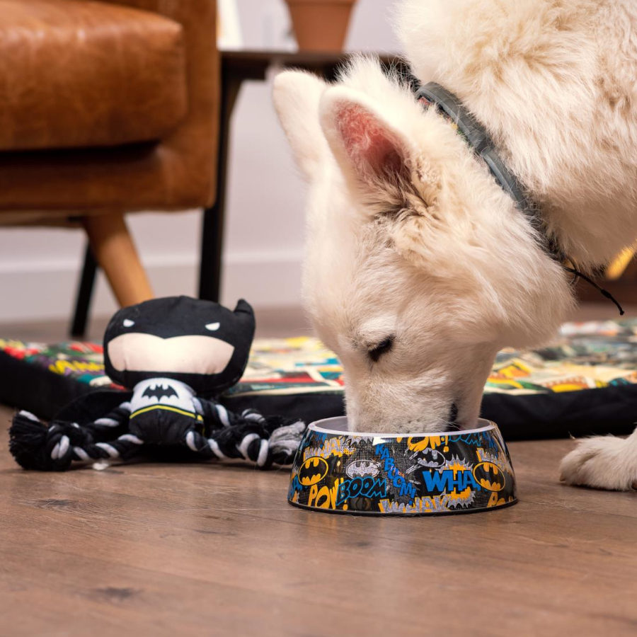 Alimentador de cães do Batman da DC