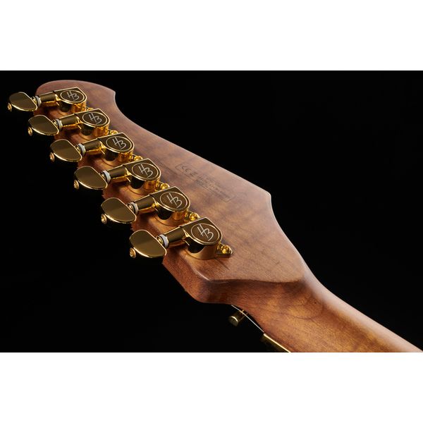 Harley Benton Guitar MAX Fusion Signature