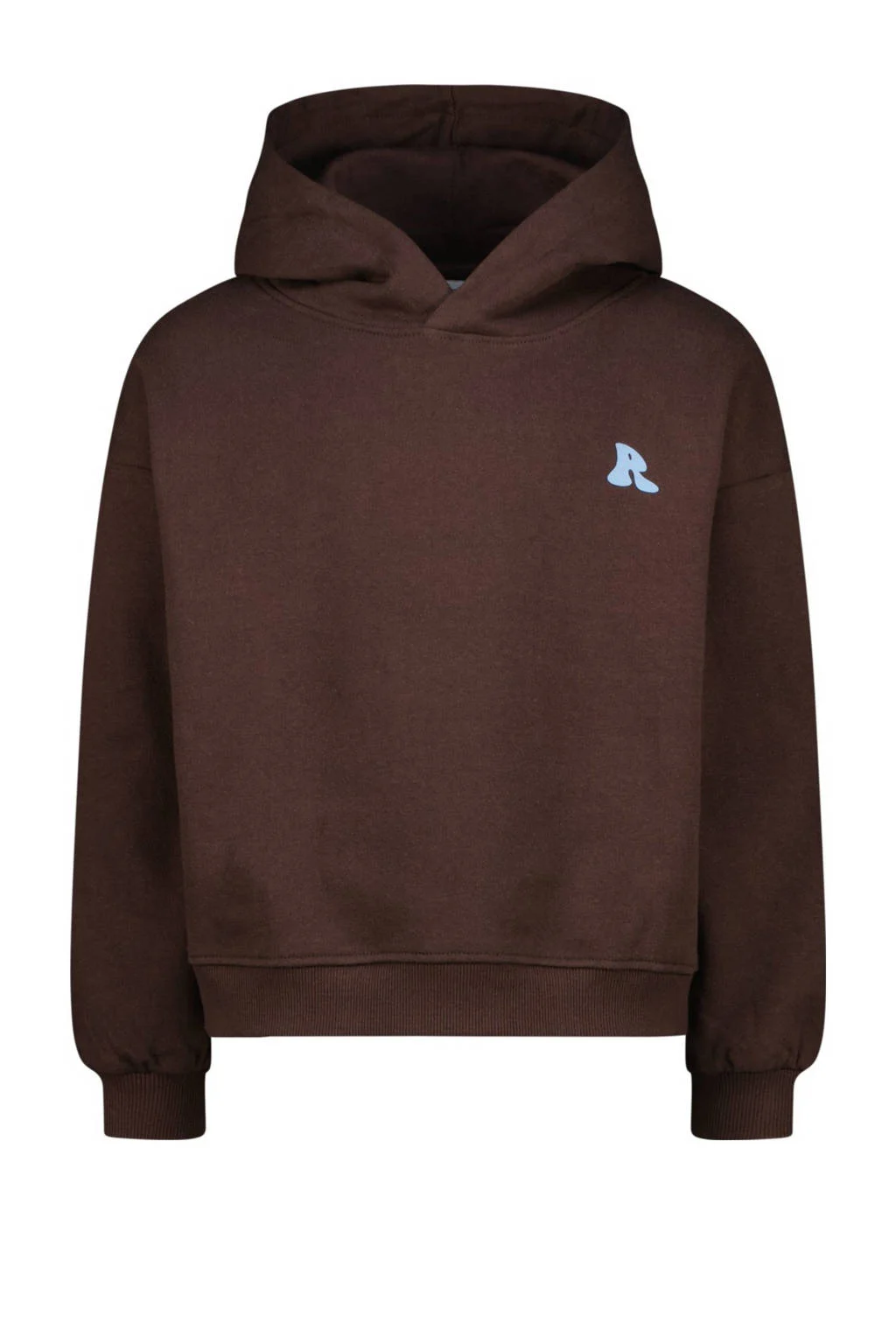 Raizzed hoodie donkerbruin