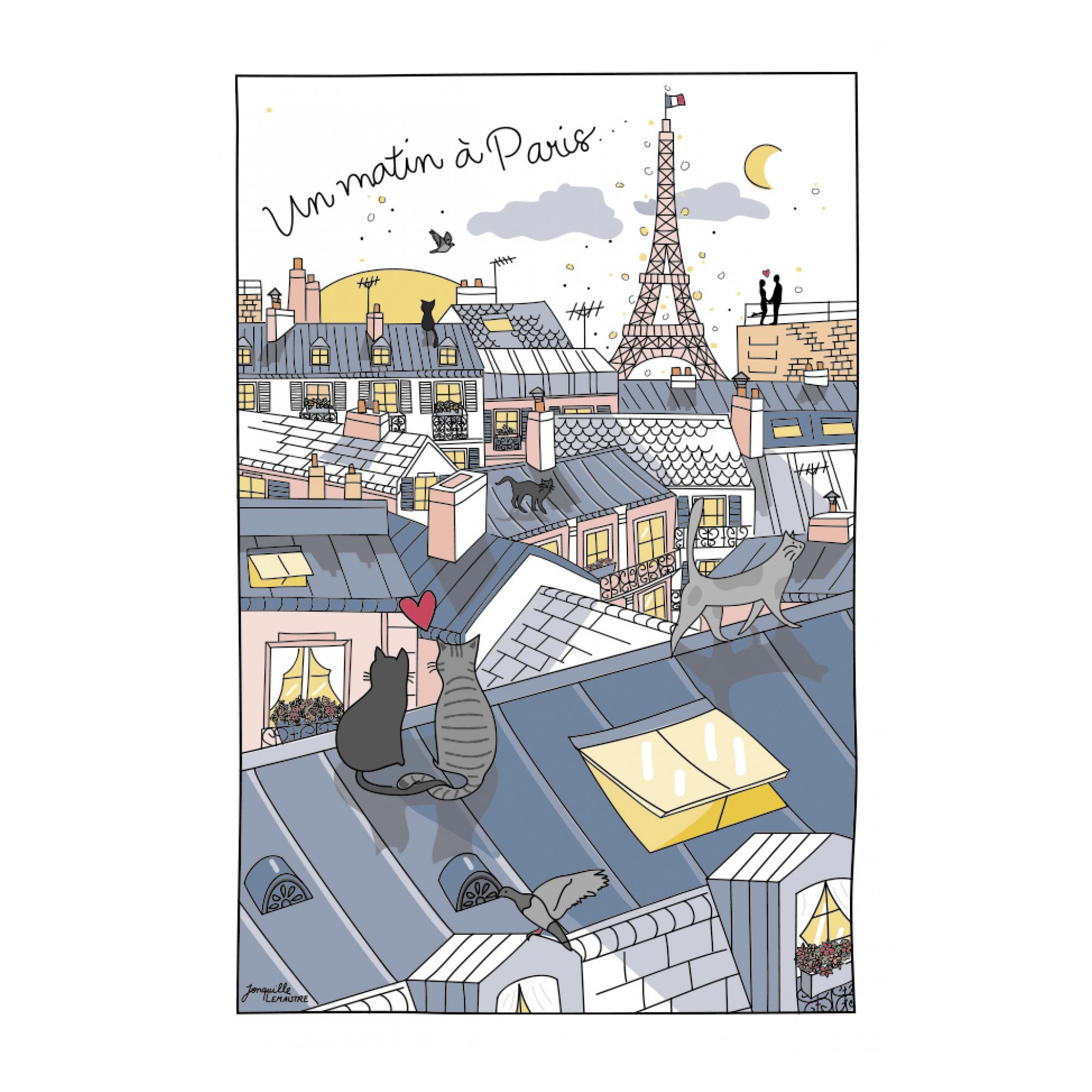 Torchon toits de paris
