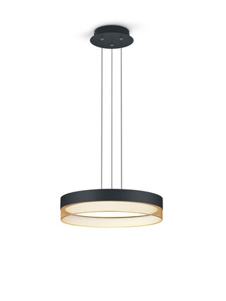 HELL LED Pendelleuchte MESH 45 cm schwarz /goldfarbig
