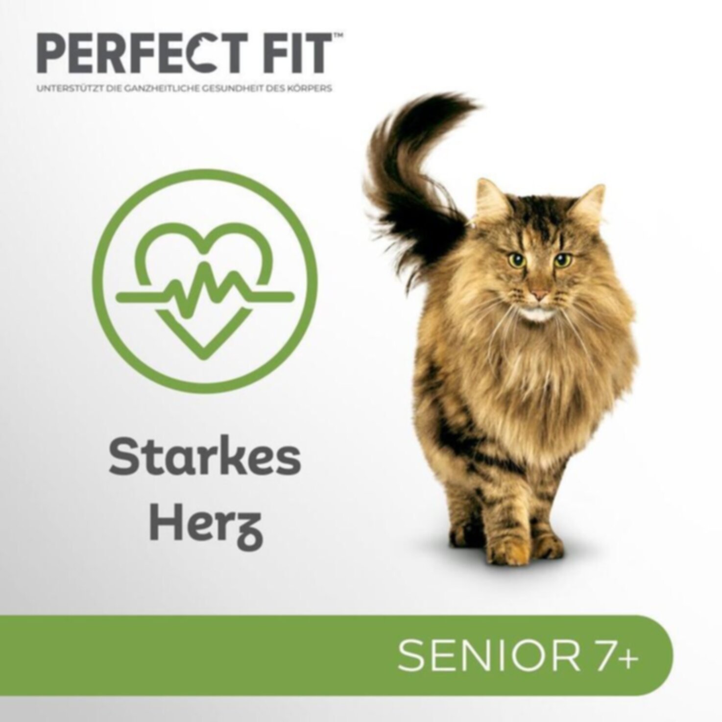Perfect Fit Senior mit Truthahn & Karotten und Weissfisch & Erbsen