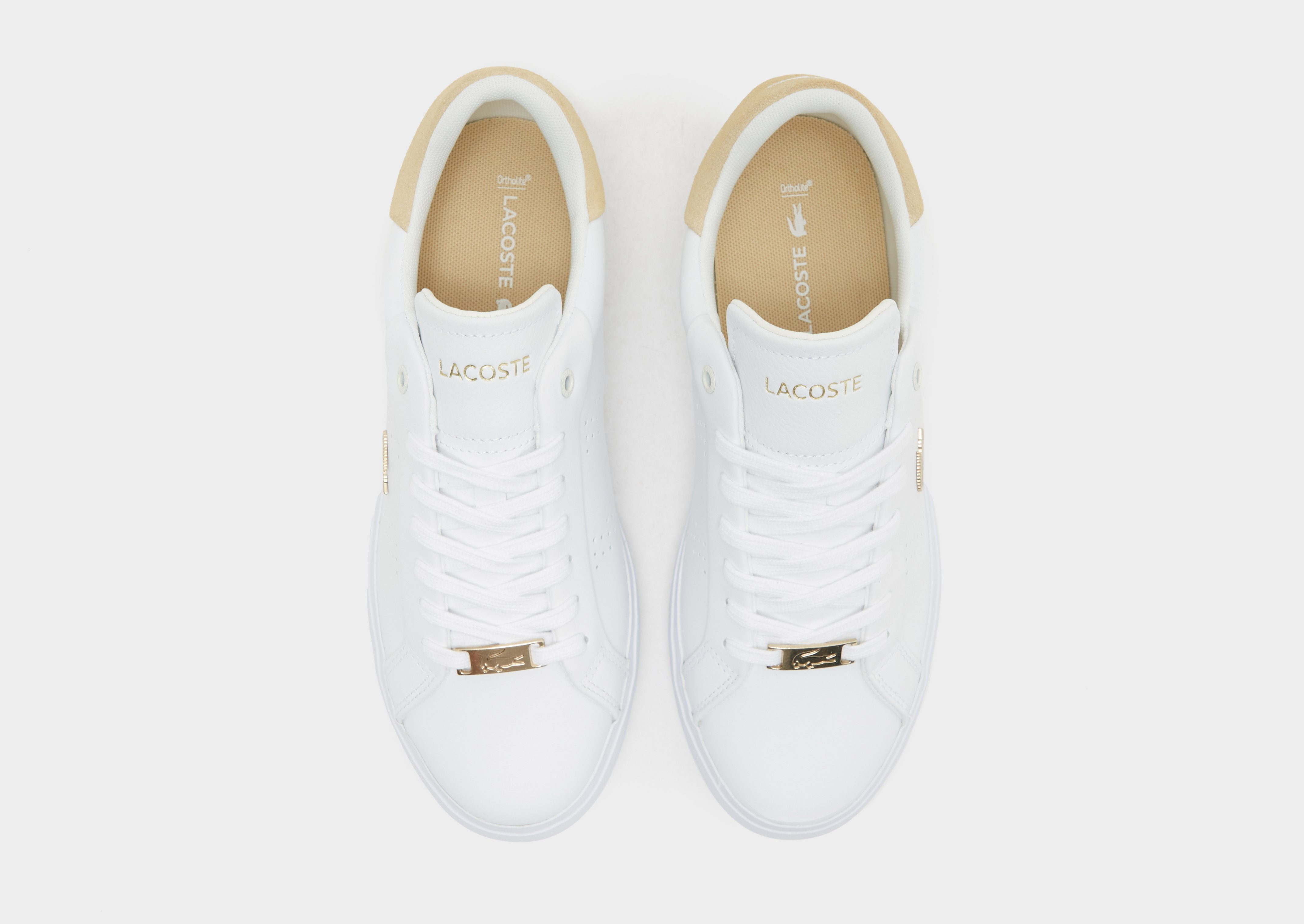 Lacoste Powercourt Femme