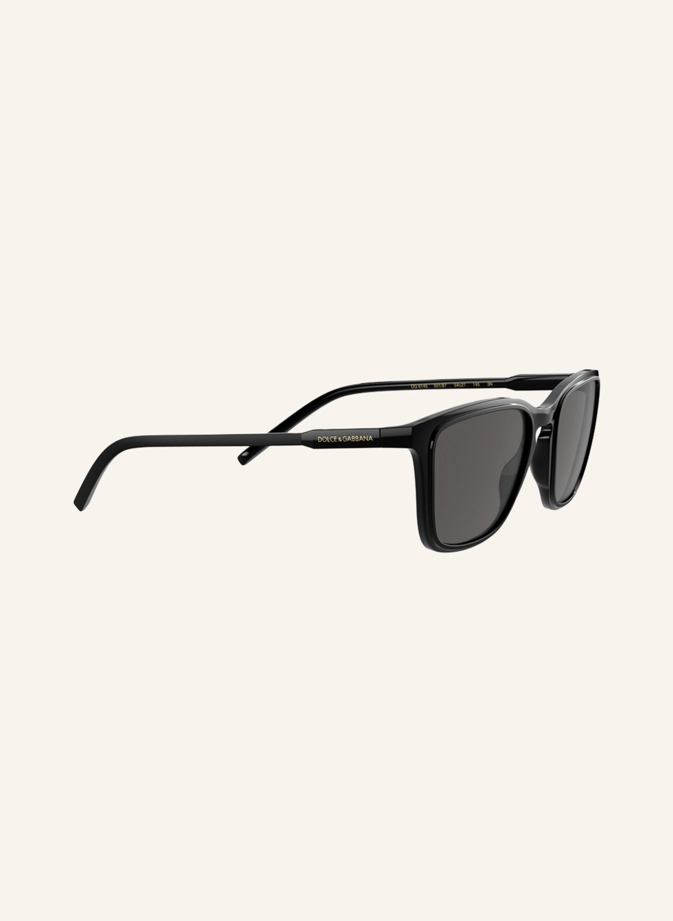 DOLCE & GABBANA Sonnenbrille DG6145