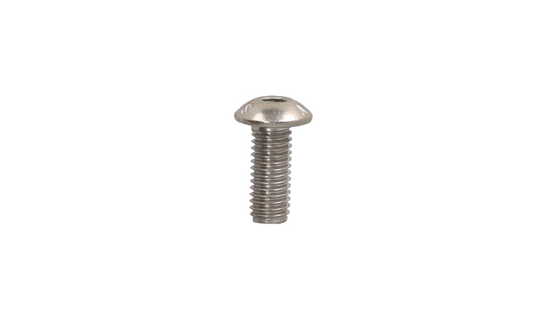 Unbracobolt M5X12mm rustfri rundt hoved