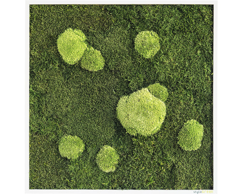 Mosschilderij bos & bolmos 55x55 cm