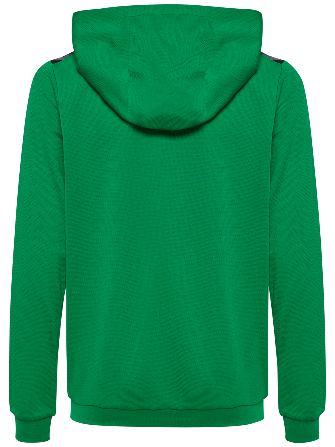 hmlAUTHENTIC PL HOODIE KIDS