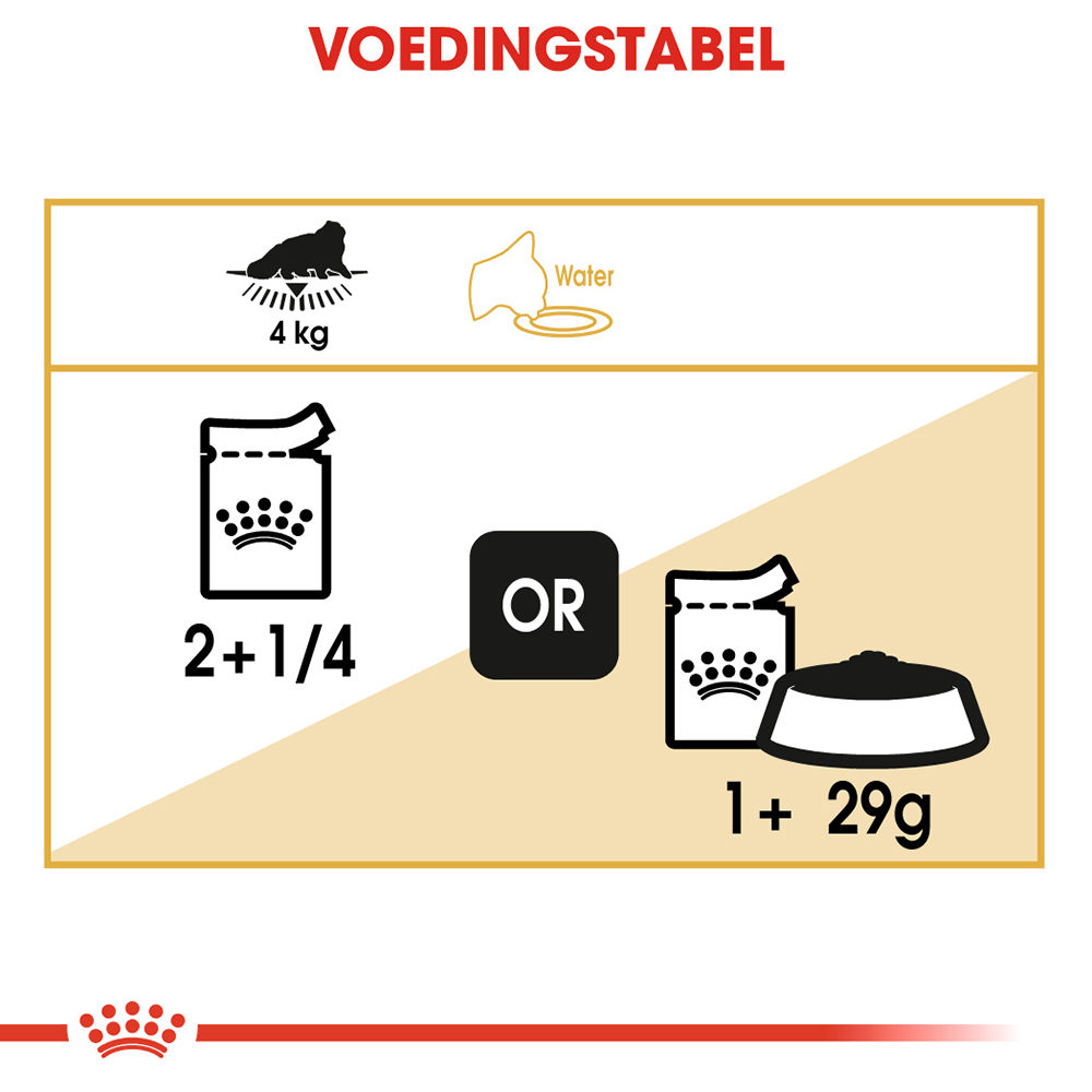 Royal Canin Persian Adult Wet - Kattenvoer