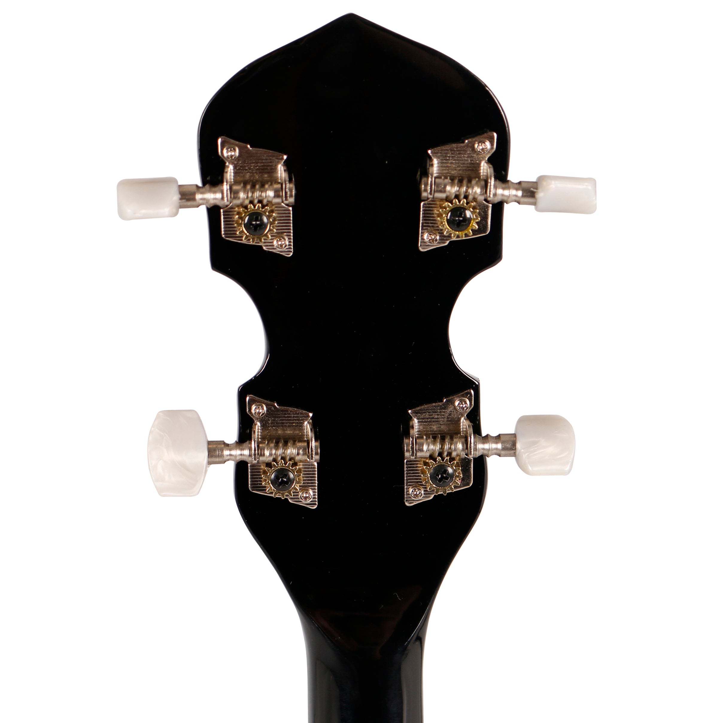 Fazley BN-30 5-snarige banjo