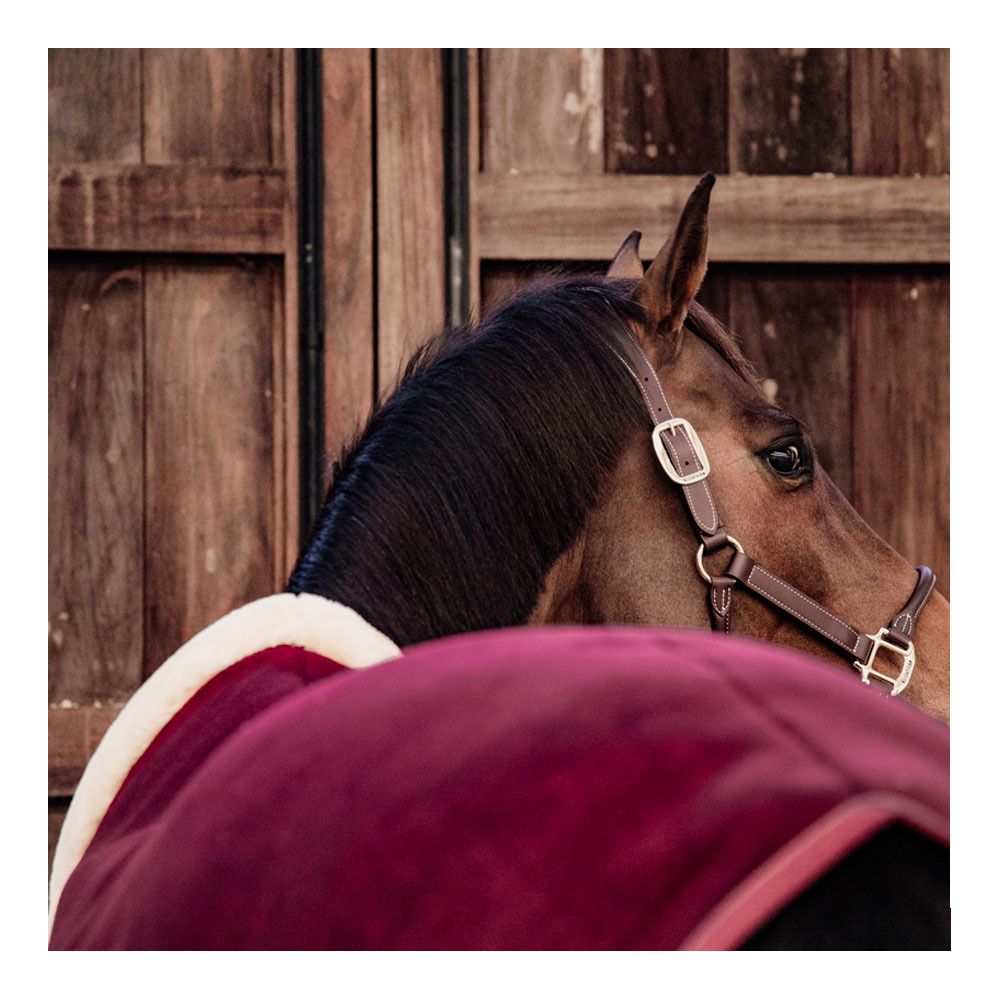 Kentucky SHOW HEAVY - Chemise séchante bordeaux