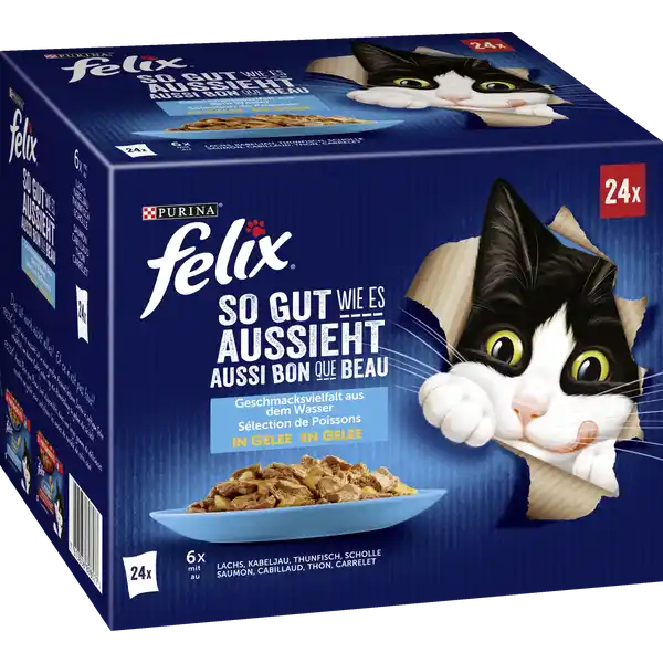 So gut wie es aussieht Geschmacksvielfalt aus dem Wasser in Gelee Multipack